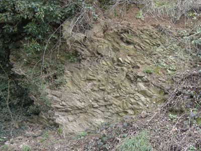 11_limestone.jpg
